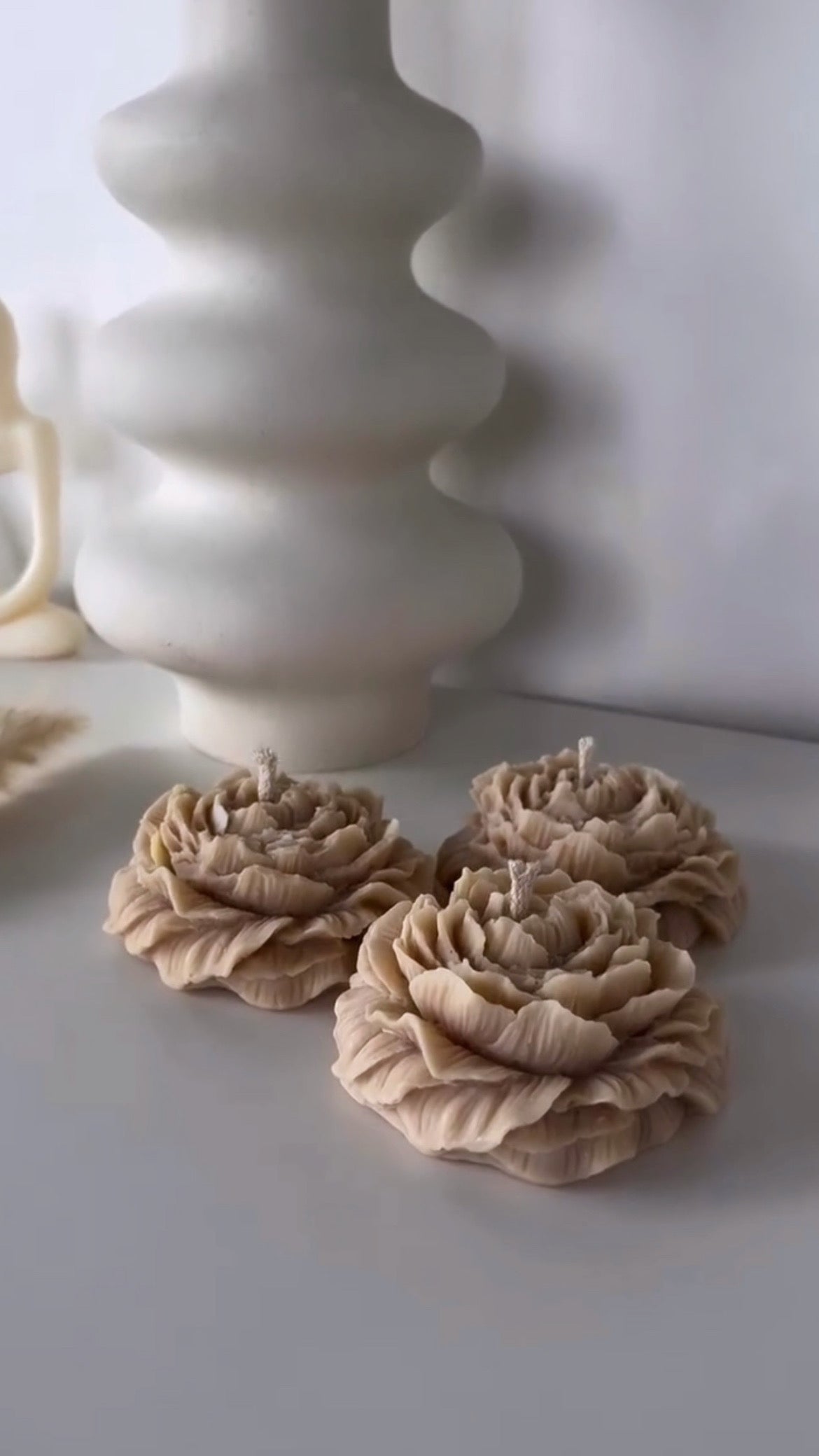 Rose éternelle (Beige) - FLORA