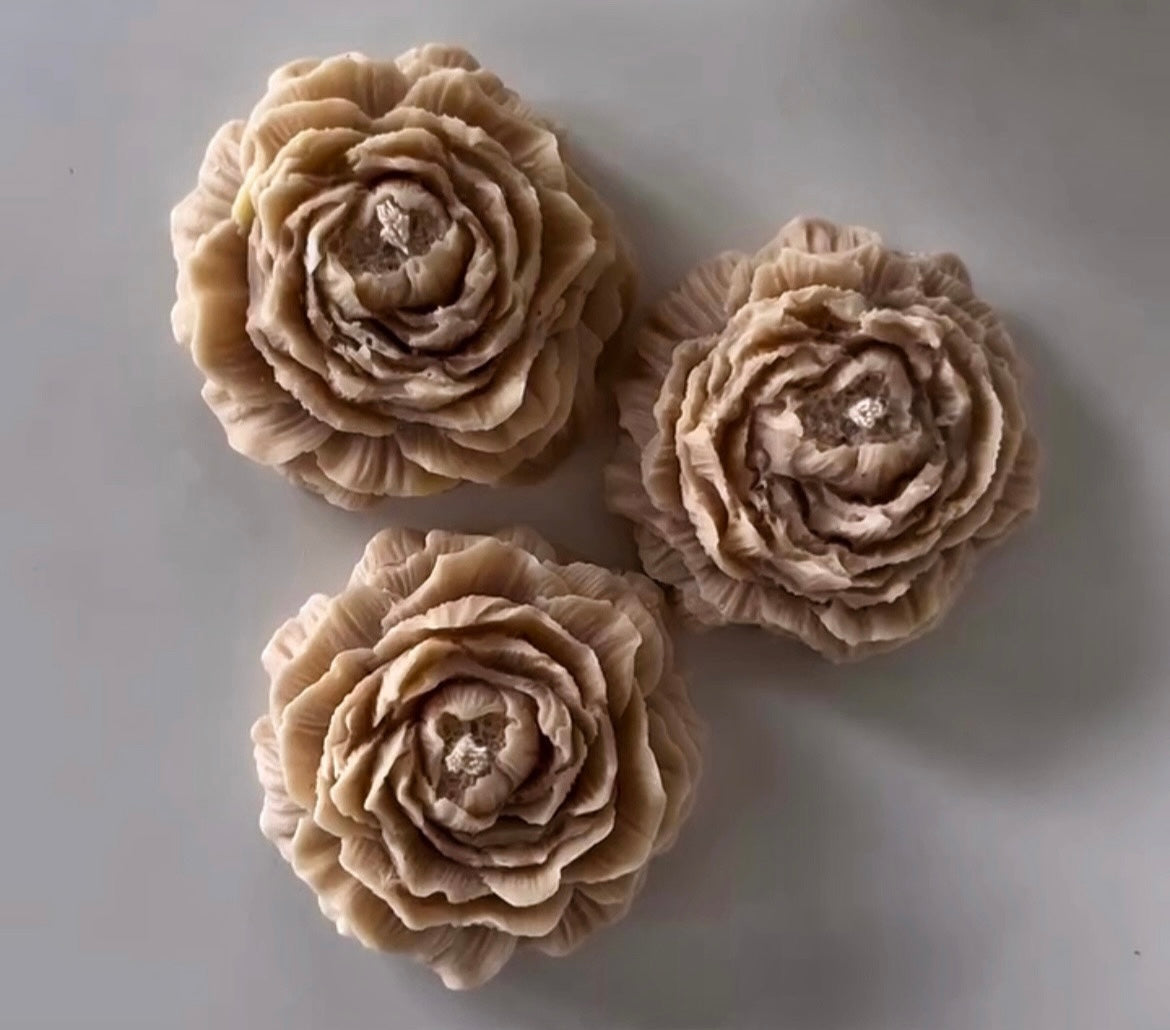 Rose éternelle (Beige) - FLORA